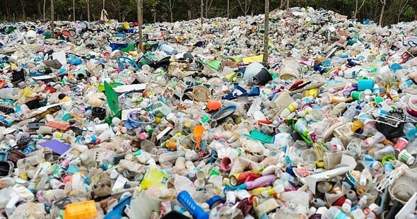 F0E726AD-ACB4-4B8A-8EC3-400ED74EC510