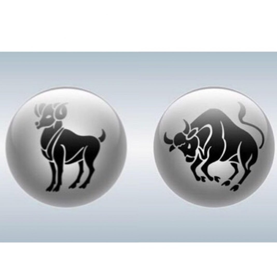 WhatsApp Image 2020-11-01 at 21.16.19