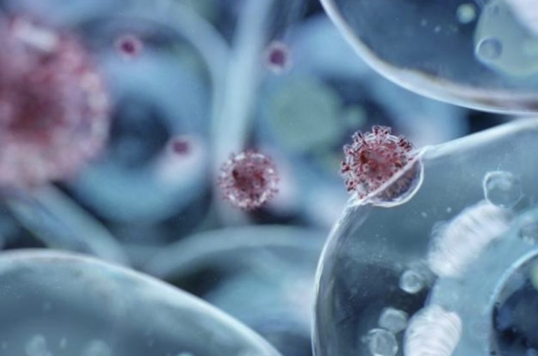 8E68CB36-8D5E-4007-9E38-9A16C38971D4