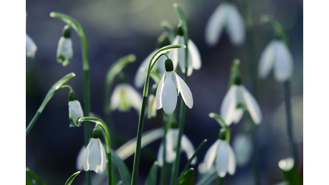 затоопляне