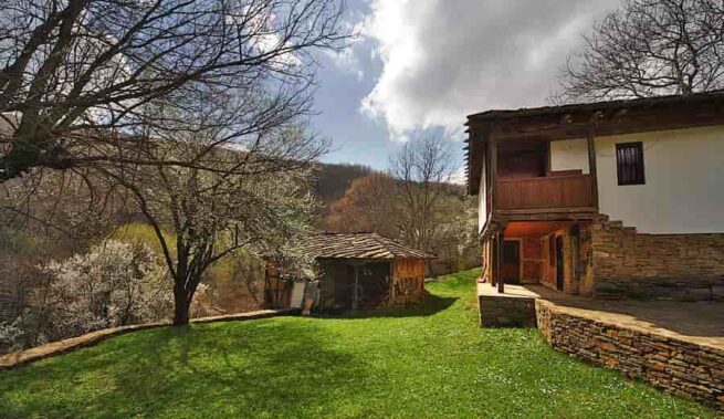 селски-имоти