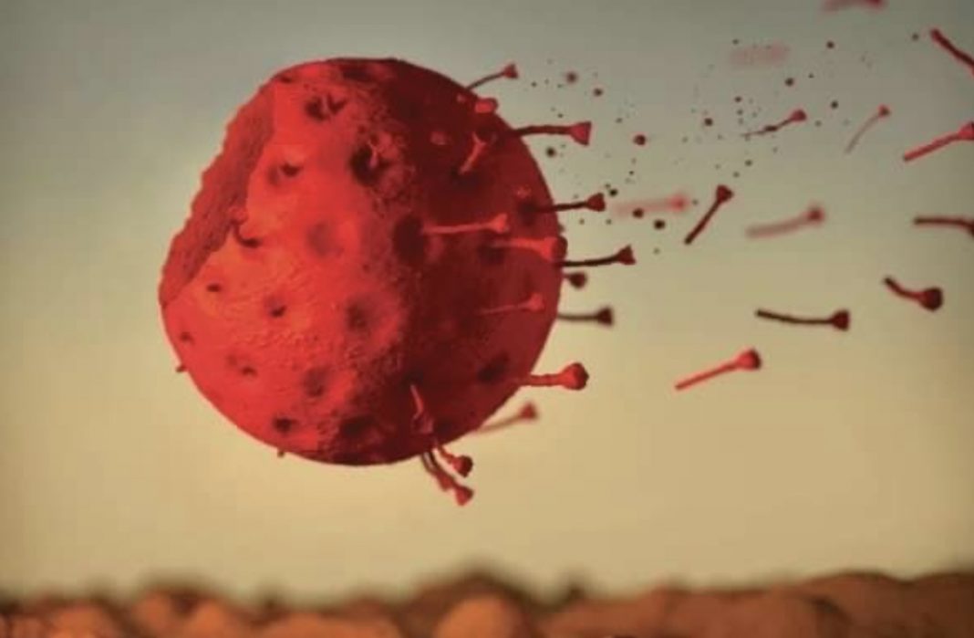 BD8FCB4C-67EB-4E12-867D-AC3439647F7B