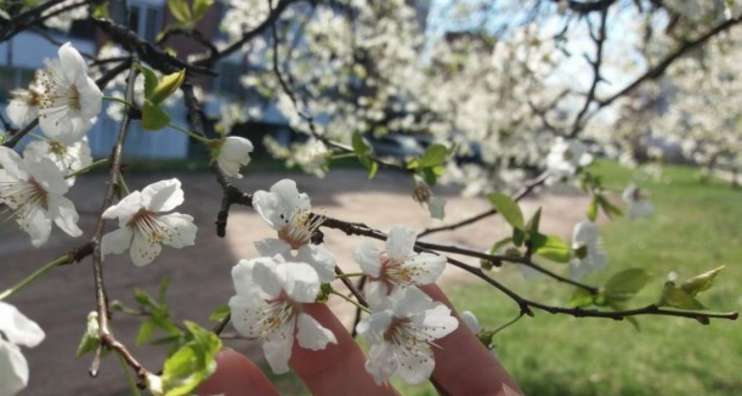 пролетю