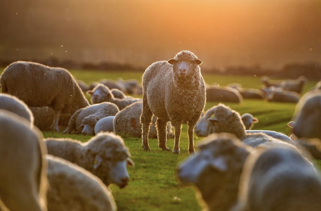 C6DABD78-5052-4655-BE59-6BBD7AAFEFE9