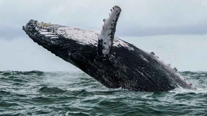 GettyImages-1016798650.1fcb6e8056dc314649efbd3c2924c05a