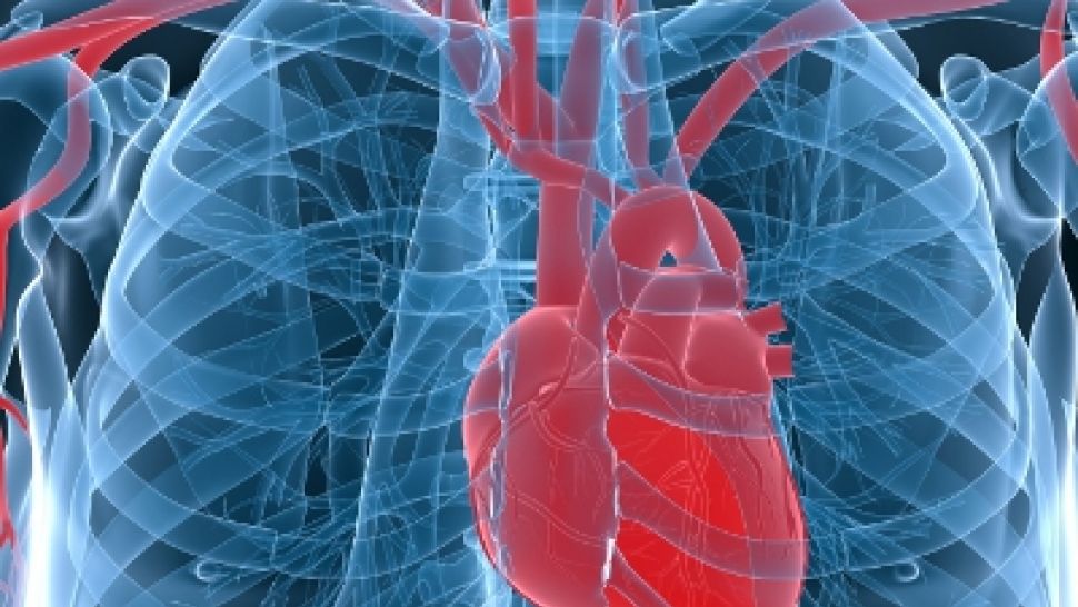 73E03E61-13BF-4139-90ED-3A9260ED1704