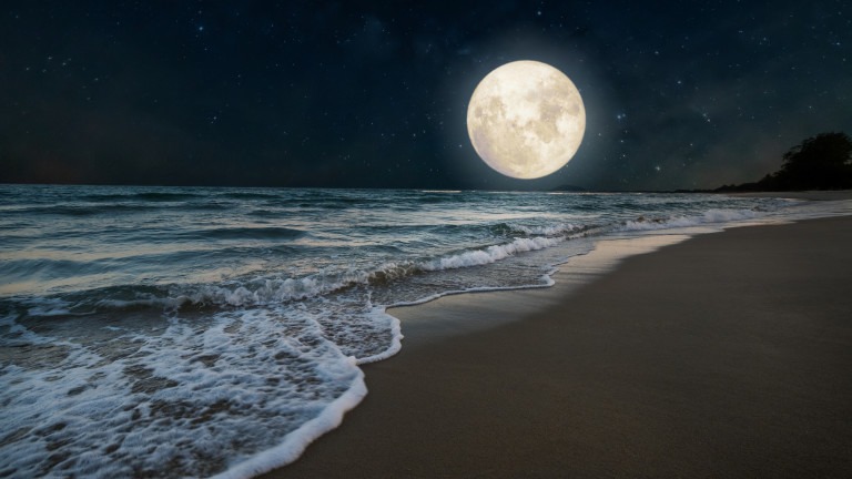 Summer season, honeymoon in night skies background concept.