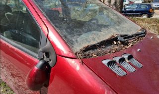 novo-ogranichenie-za-hiladi-sobstvenici-na-koli-ot-nachaloto-na-2022-godina-1