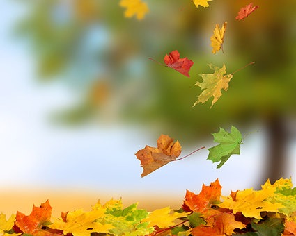 esen_f_improf_453x340