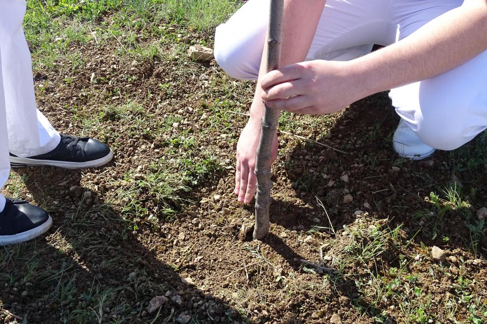 991-ratio-zalesiavane