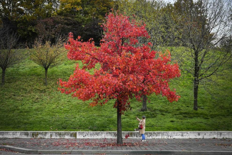 991-ratio-esen-vremeto-prognoza