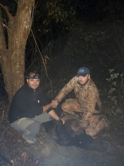 Image_10389272_126_0