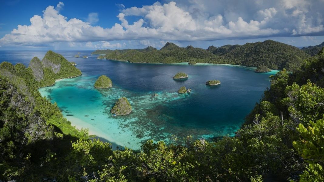 5-po-rihter-raztarsi-papua-nova-gvinea-1