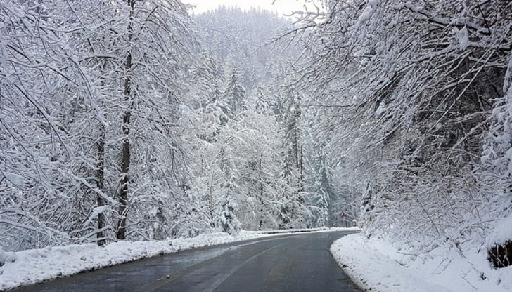 95ef138fe8e446e8bebf99ab55821dd0