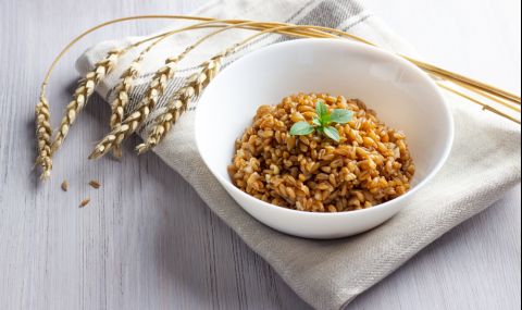 vsichko-za-jitnia-rejim-na-petar-danov-1