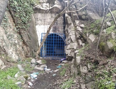 Image_11064020_126_0