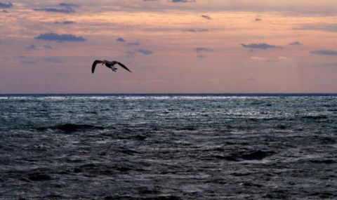 mvnr-vzeli-sme-merki-za-otkasnatite-ukrainski-mini-v-cherno-more-1