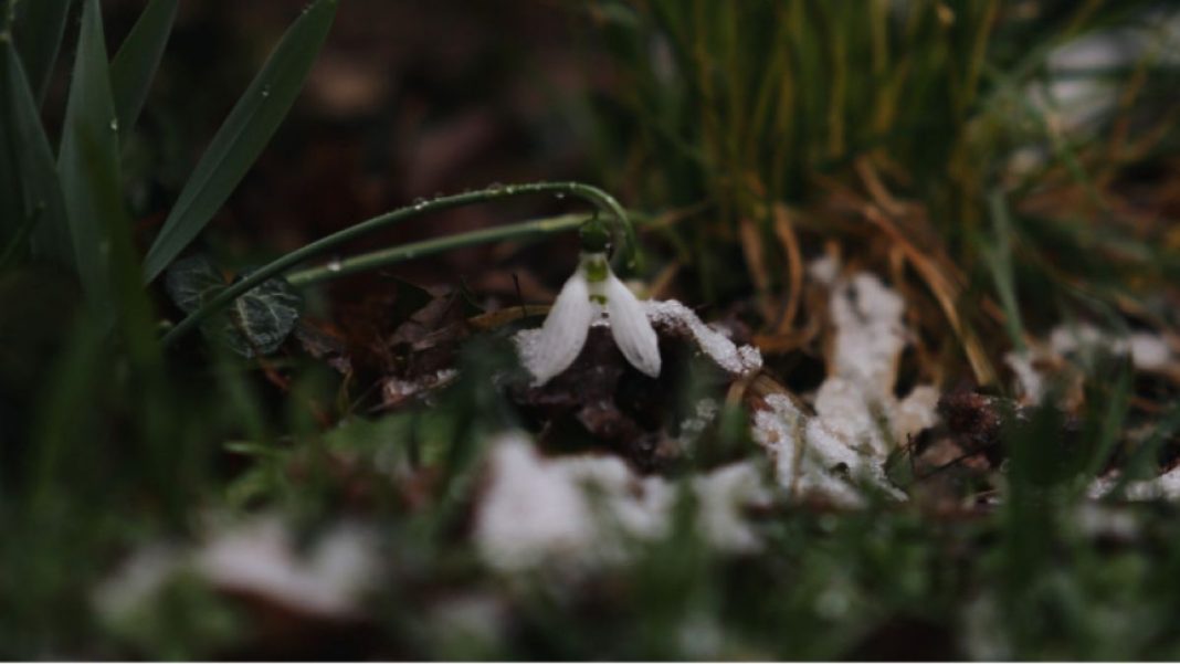 ostava-oblachno-shte-prehvarcha-snag-1