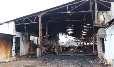 38-jivotni-izgoraha-vav-ferma-krai-montana-1