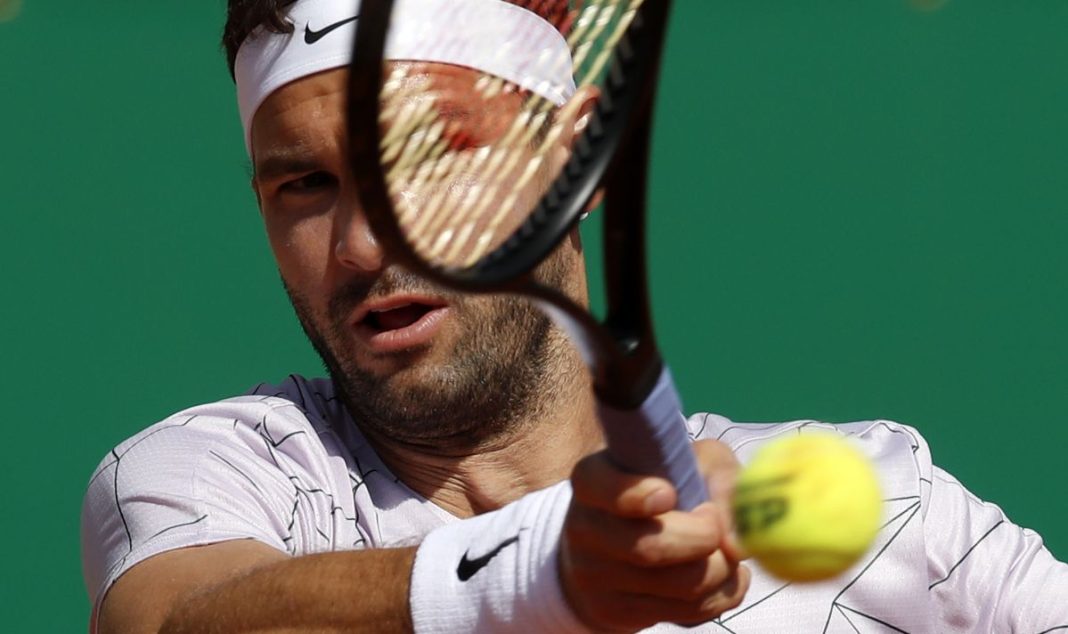 stana-asno-koga-grisho-izliza-na-korta-sreshtu-hurkach-1