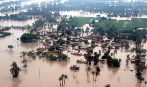 zaginali-i-izcheznali-sled-dajdove-ubiici-v-brazilia-1