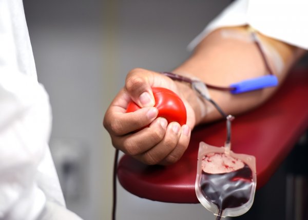 blood-blood-donation-medical-donor-5427229