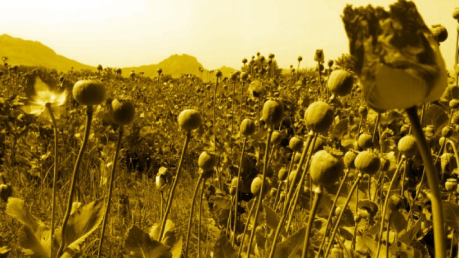 9c980aa1f23c6a3fce157a531458e97a