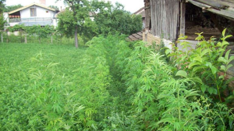 k_8024054871271209248_big