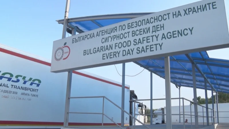 1659346572-638a9d33e487a8772d9ca068a74a16bc