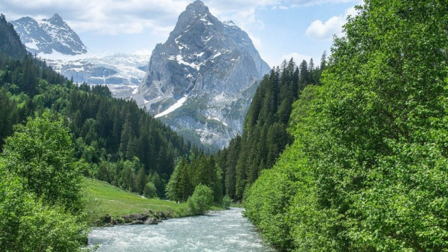 c46d7950089eef2f723c346fa44bb146