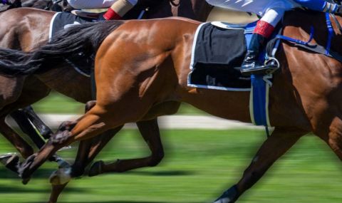 tragedia-jokei-zagina-stapkan-ot-kon-1