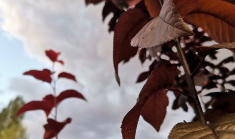 znachitelna-oblachnost-v-zapadna-blgaria-slance-po-chernomorieto-1