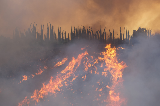 aedd36d0dbcb47378263a3379af4d362-aedd36d0dbcb47378263a3379af4d362-ff46702a269b40a7b613b568f84a7f10-f4a95