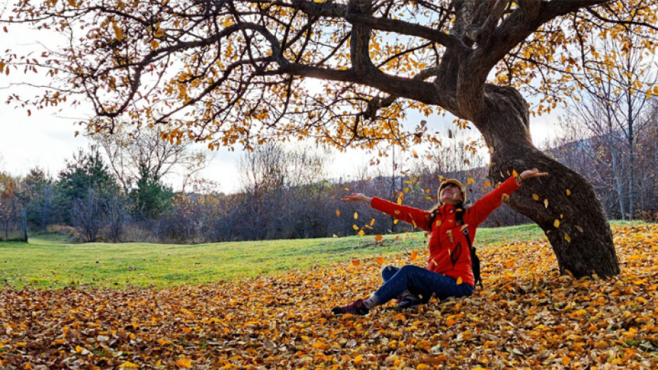 bb5b18cdf77c2bae73d26cf897cd034a