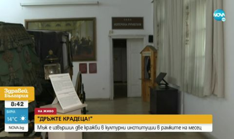 hvanaha-maj-zadignal-stotici-ot-muzei-v-plovdiv-1