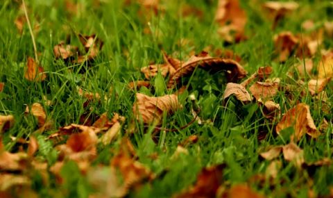 slancheva-i-topla-nedela-1