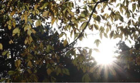 temperaturite-padat-1