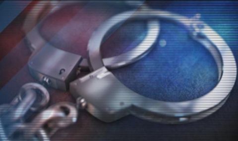 srabska-banda-prehvarlila-400-migranti-ot-balgaria-za-mesec-1