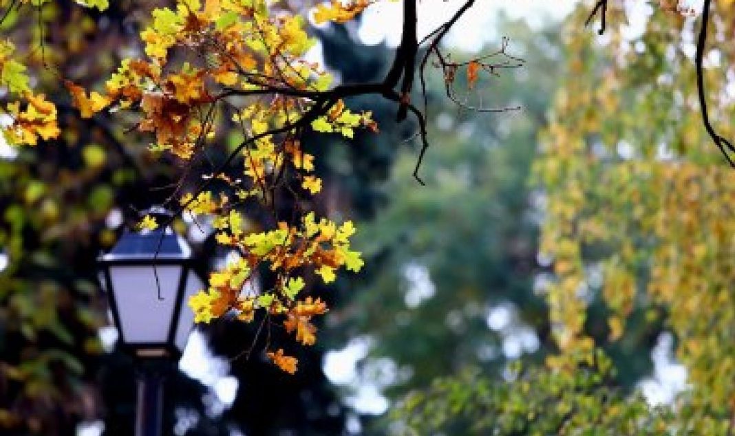 temperaturite-padat-1