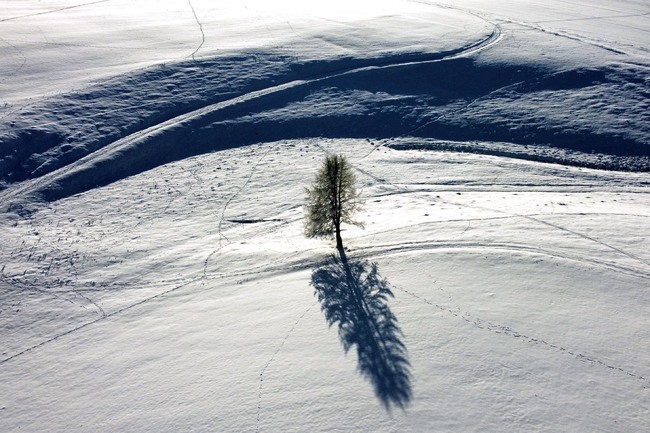 22080c56b97842e5b2f9f9b4cb85ed06--0--a51257b8719647f6937715b40a5b29da