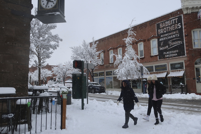 344496ca3f604a77ba3eb9367efcc1cf--0--312d18c4718c4781957ad3c39633dede