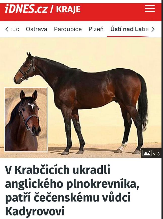 2ca0b88a-1a04-48f1-aa63-cf7148eb471e