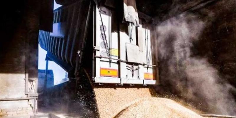 x230308083712-800x403.jpg.pagespeed.ic.sKx9-TcWxY