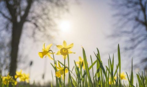 vremeto-dnes-prognoza-za-petak-12-mai-valejite-spirat-oblachnostta-se-razkasva-i-namalava-1