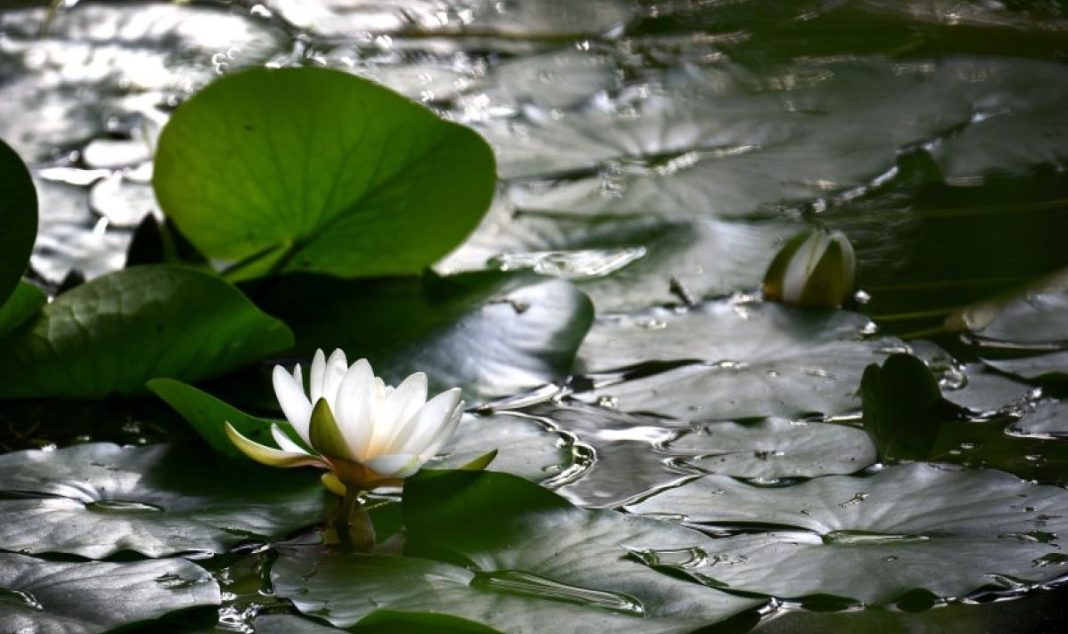 vremeto-dnes-prognoza-za-sabota-17-uni-oshte-valeji-i-gramotevichni-buri-1