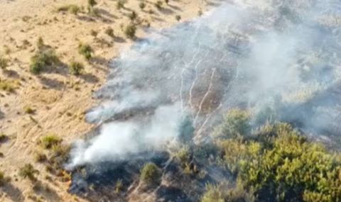 golemiat-pojar-v-iztochnite-rodopi-prodaljava-da-bushuva-bedstvenoto-polojenie-v-ivailovgrad-ostava-1