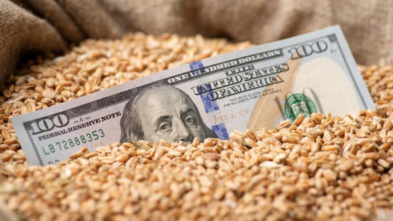 x230719080510-800x451.jpg.pagespeed.ic.xj0sYIba8E