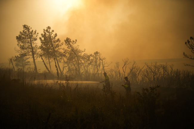 b24d4f73dfa34649bac99e22461d3542--0--a2404994cc4144408dc626ec9c7bc90c