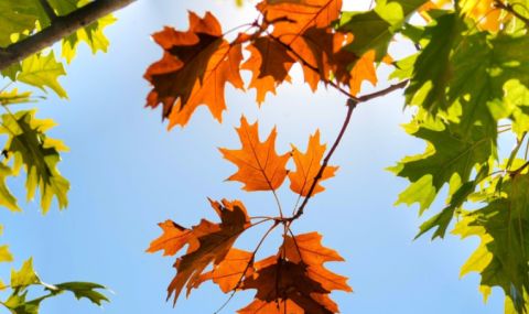 vremeto-dnes-prognoza-za-petak-22-septemvri-slanchevo-temperaturite-se-povishavat-1