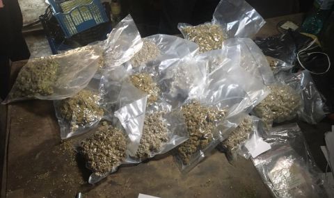 otkriha-nad-90-kg-marihuana-v-kamion-na-stolichno-targovsko-drujestvo-1